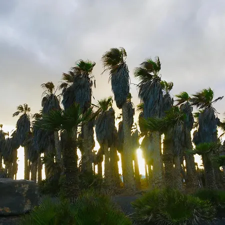 Drago Lanzarote Ferienhaus *